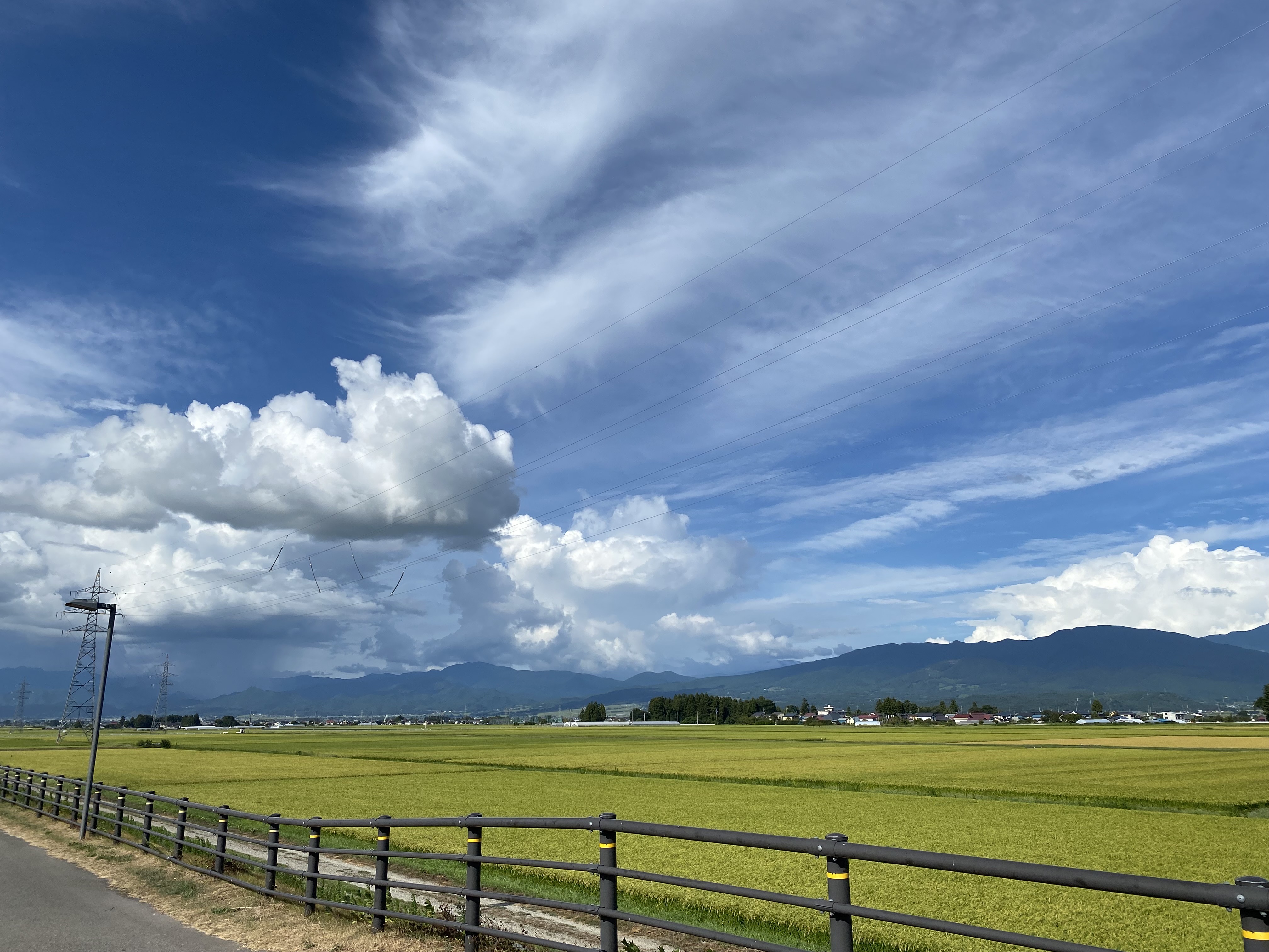 トモのアバター